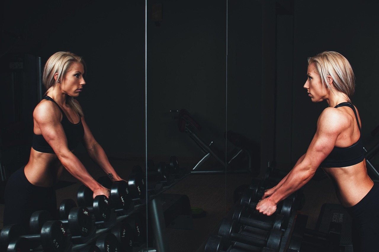 Stormgym Fitness Club collection